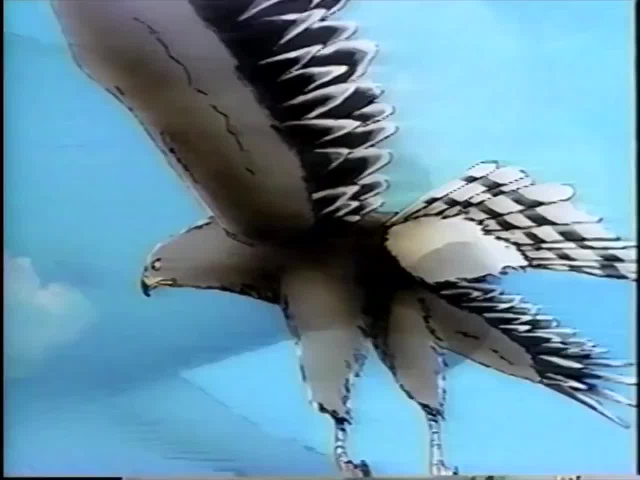 Белый медвежонок: Медвежонок, где ты? кадр 4