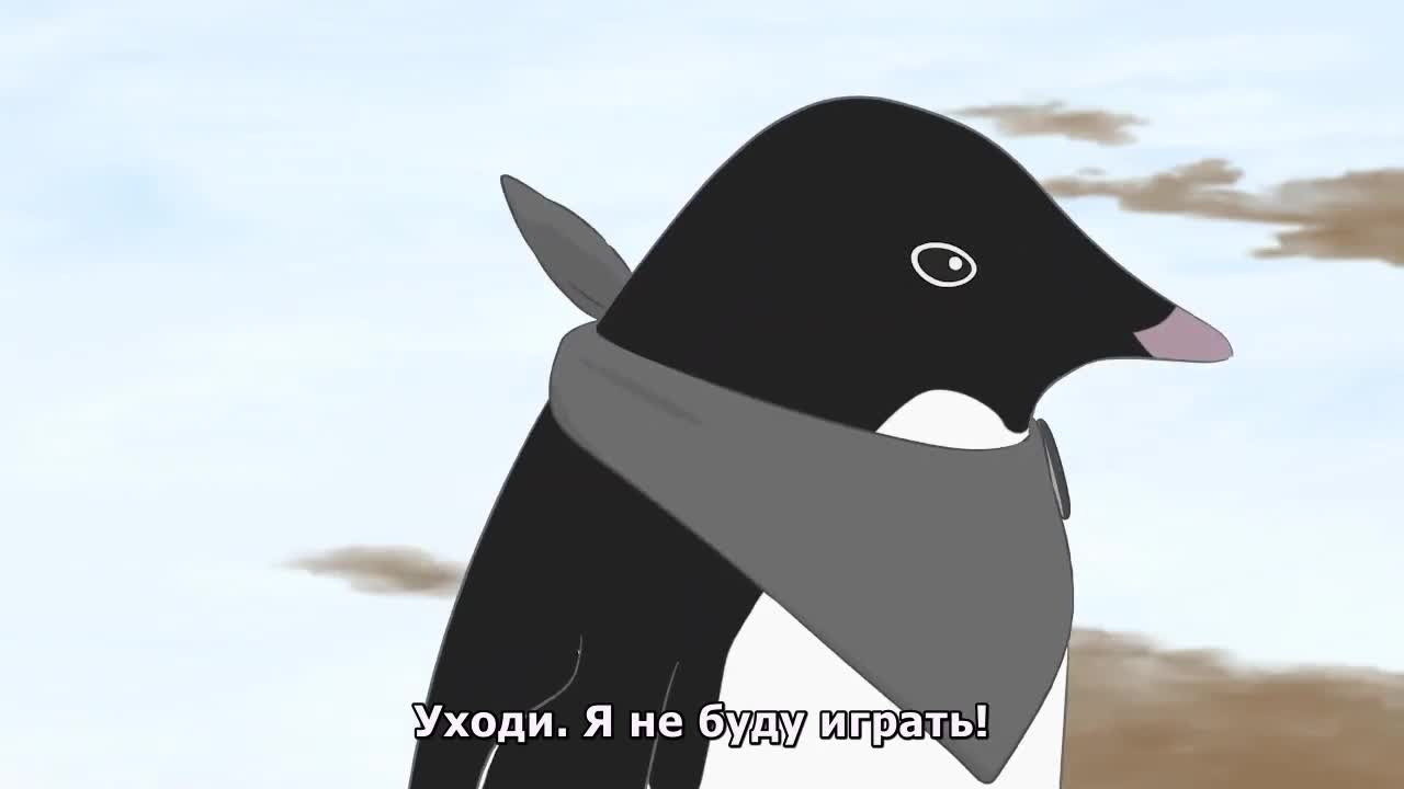 Цвета антарктических пингвинов кадр 1