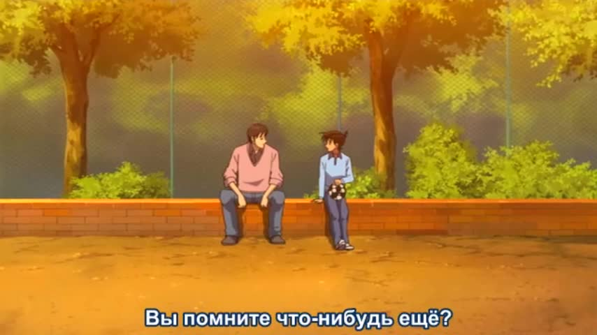 Детектив Конан: Дело о таинственной стене и чёрном лабрадоре кадр 1
