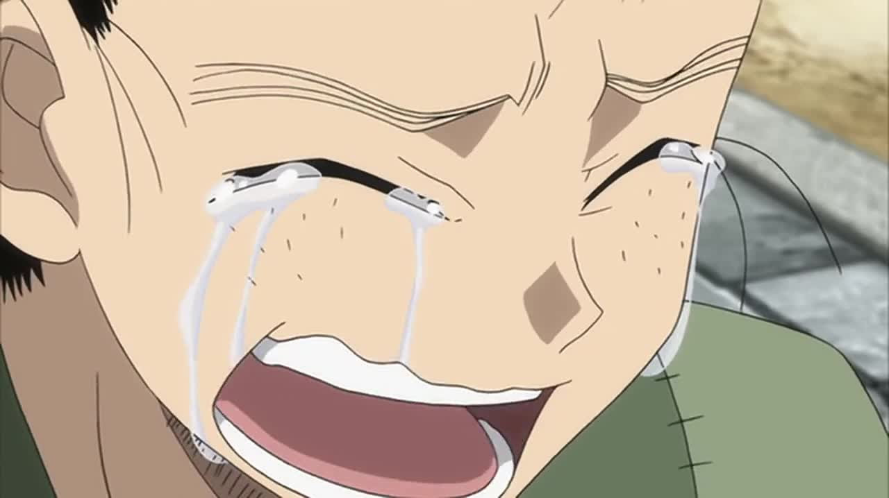 Истребители насекомых OVA кадр 4
