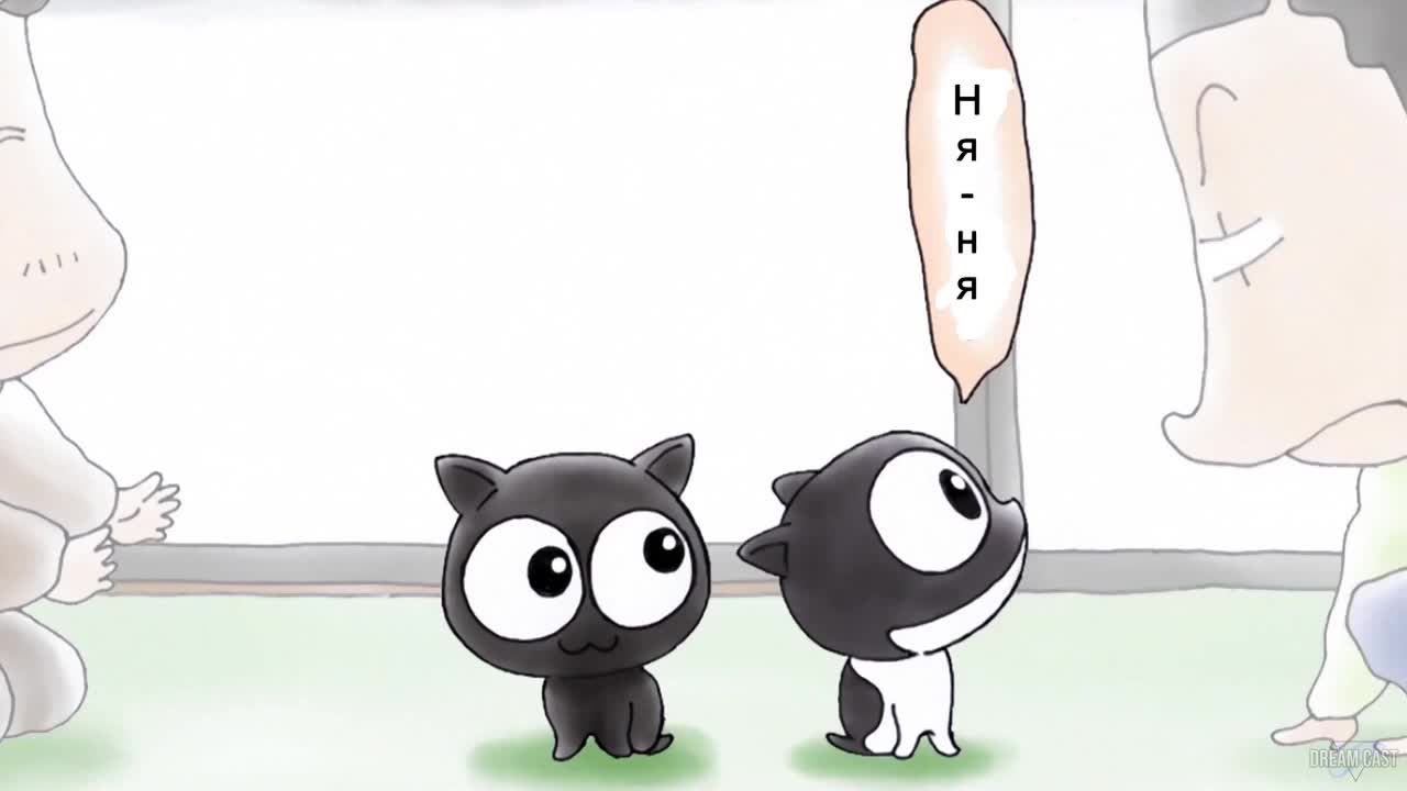 Я не могу поймать кота кадр 3