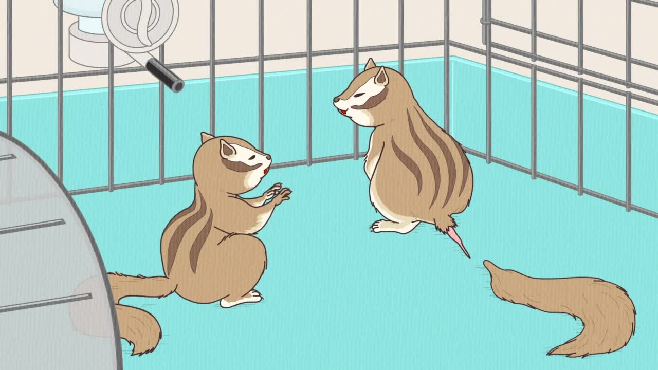 Энциклопедия жалких созданий: Спецвыпуски кадр 1