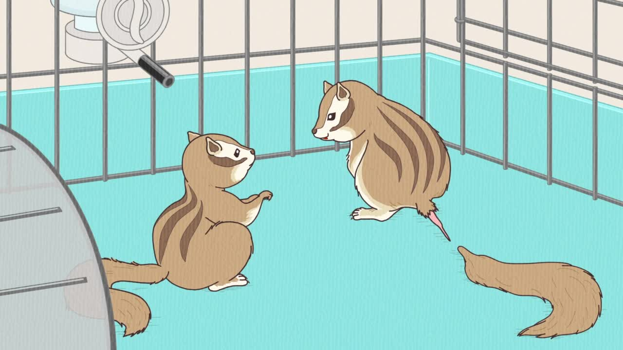 Энциклопедия жалких созданий: Спецвыпуски кадр 2