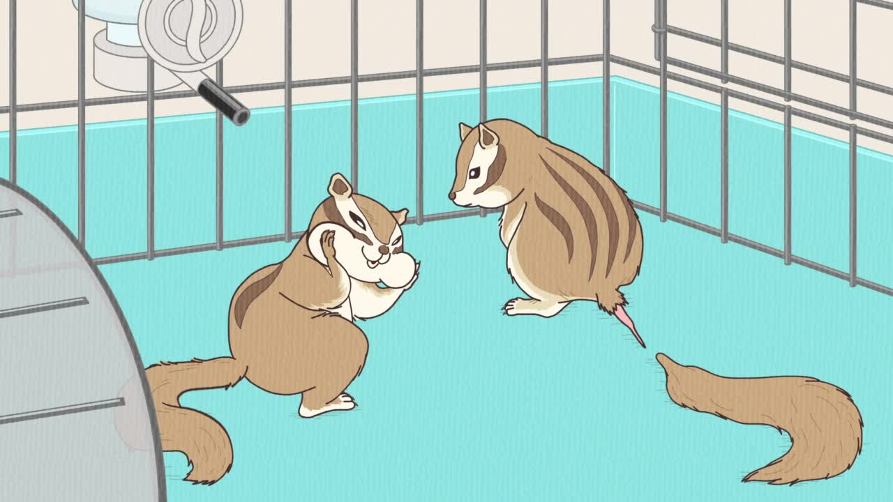 Энциклопедия жалких созданий: Спецвыпуски кадр 3