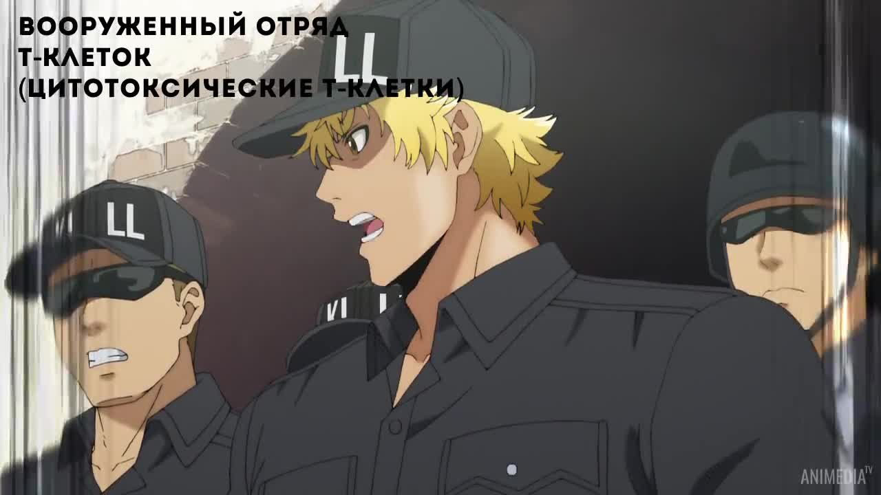 Клетки за работой кадр 3
