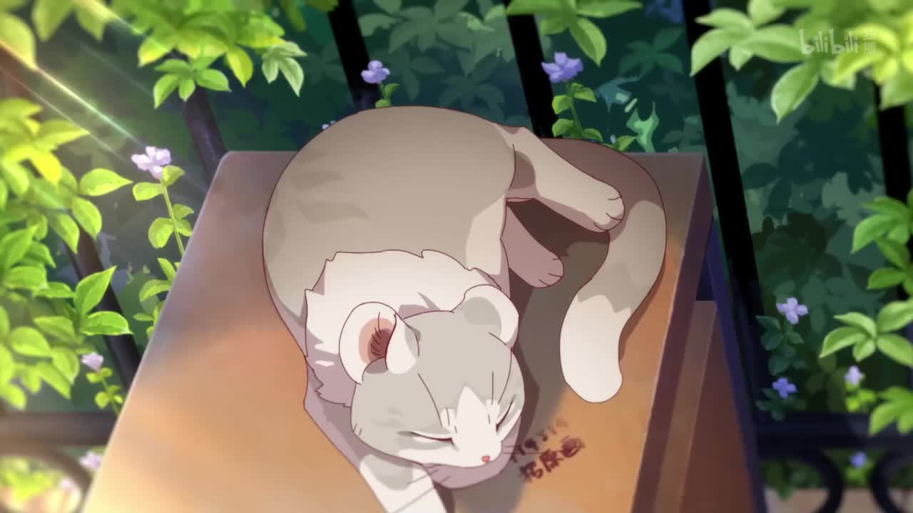 Кошачий чай кадр 1