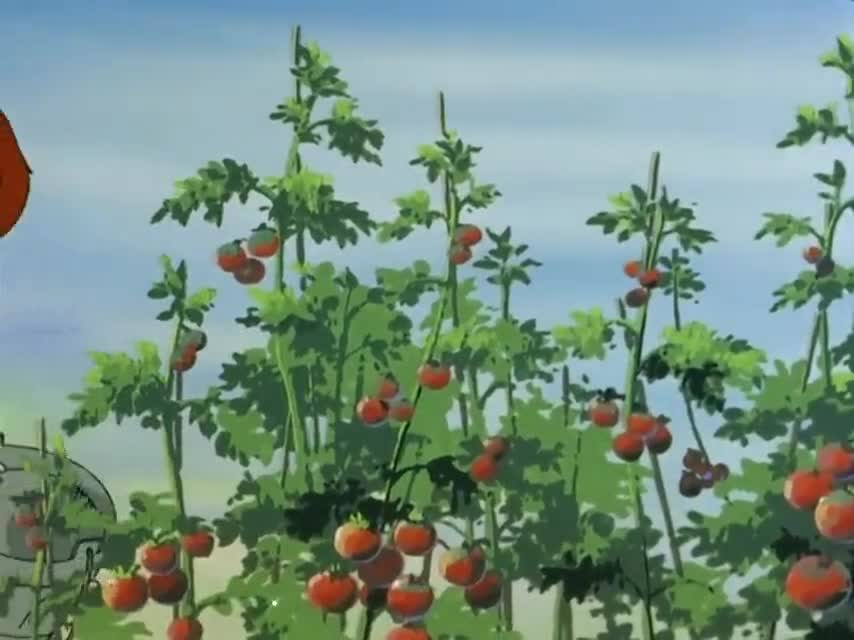 Кулак Северной звезды кадр 2