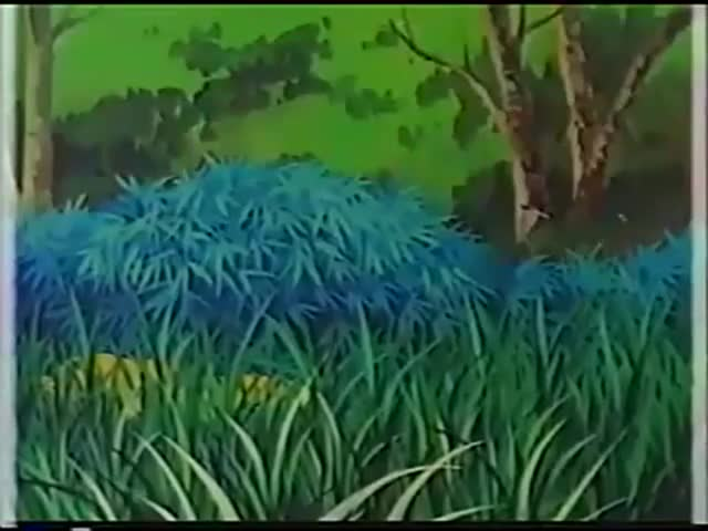 Лисы Тиронуп кадр 4