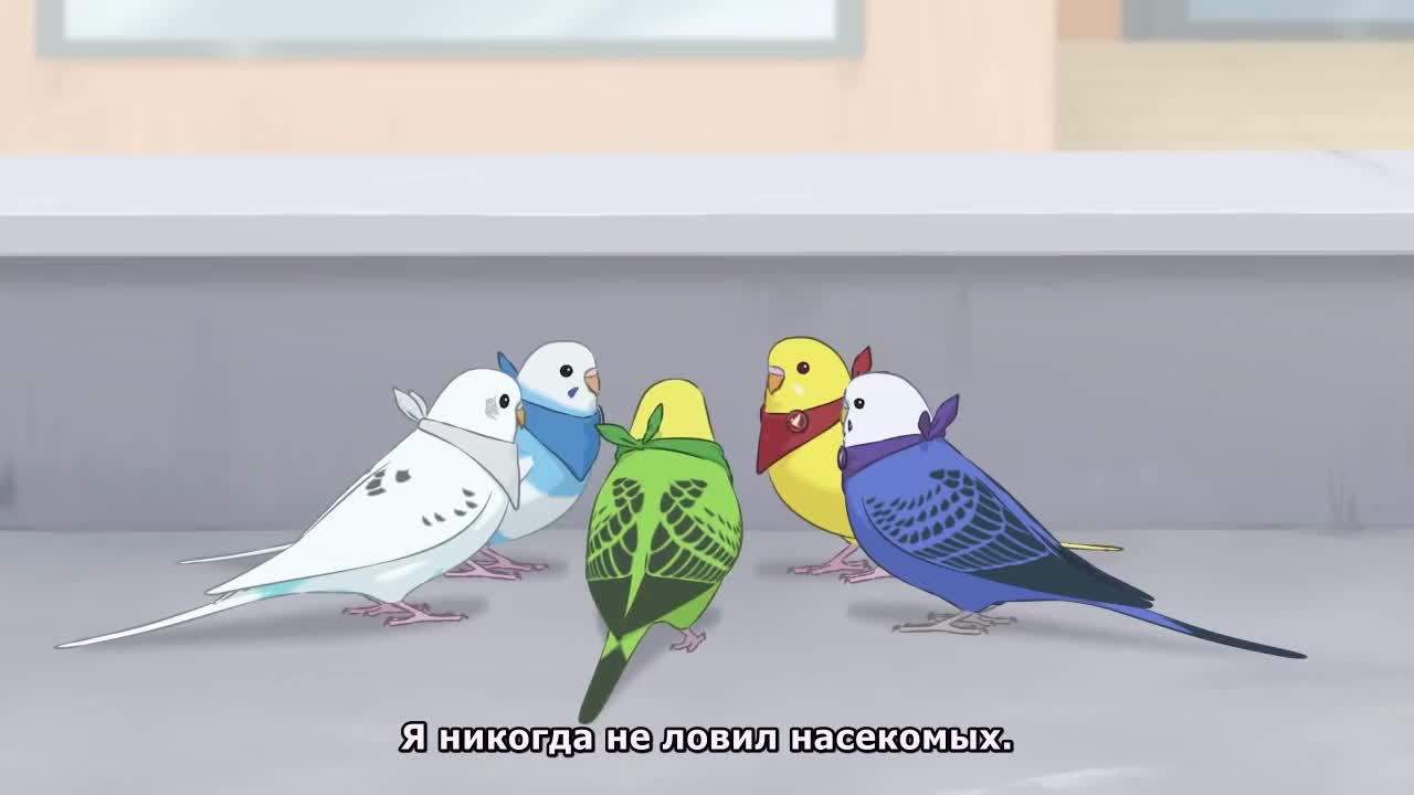 Разноцветные попугаи 2 кадр 3