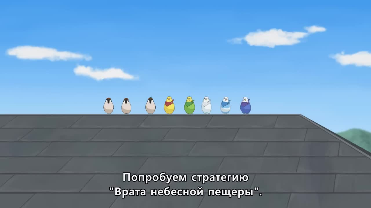 Разноцветные попугаи кадр 2