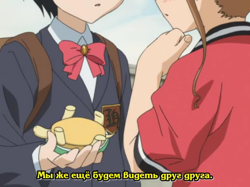 Школа Элис кадр 2