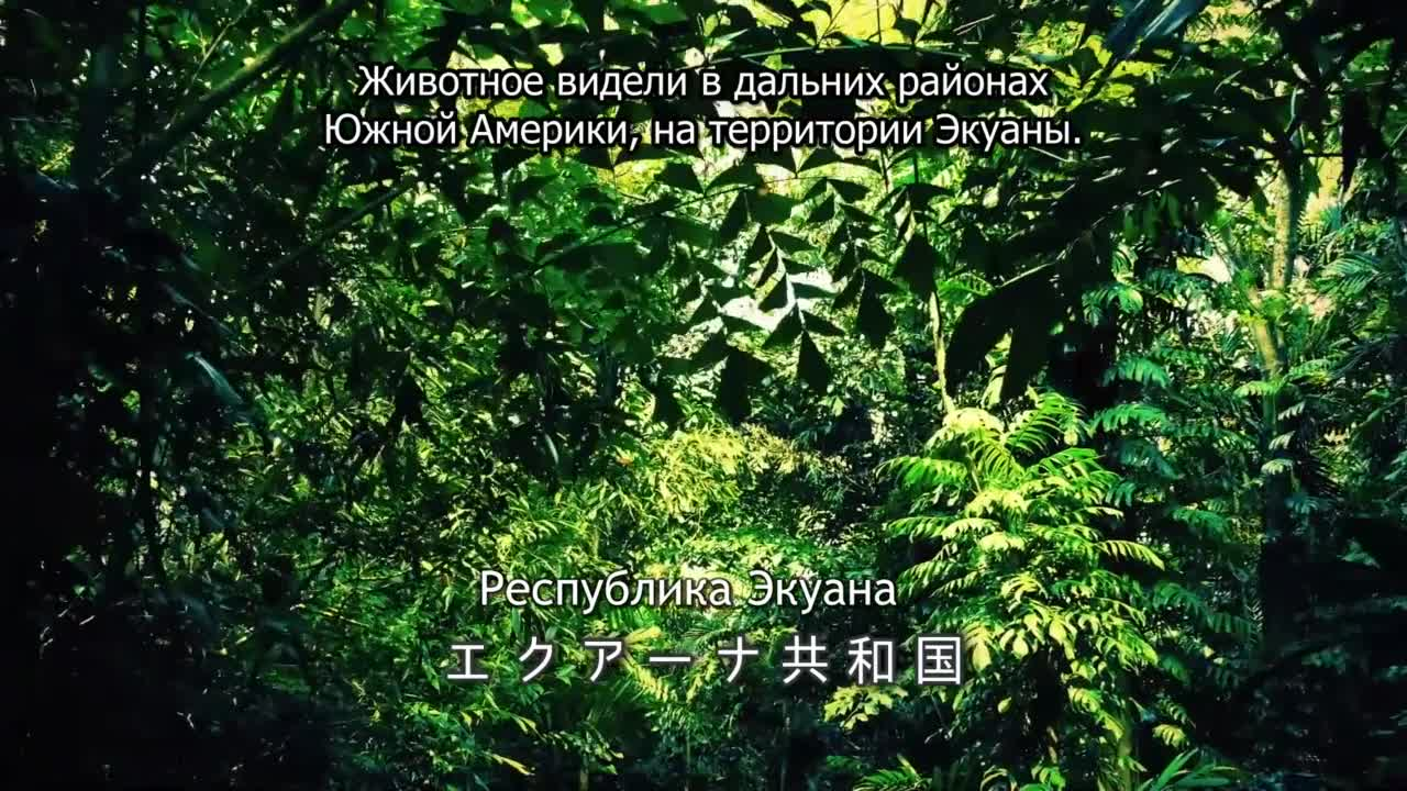 Телечудики Нанана кадр 4