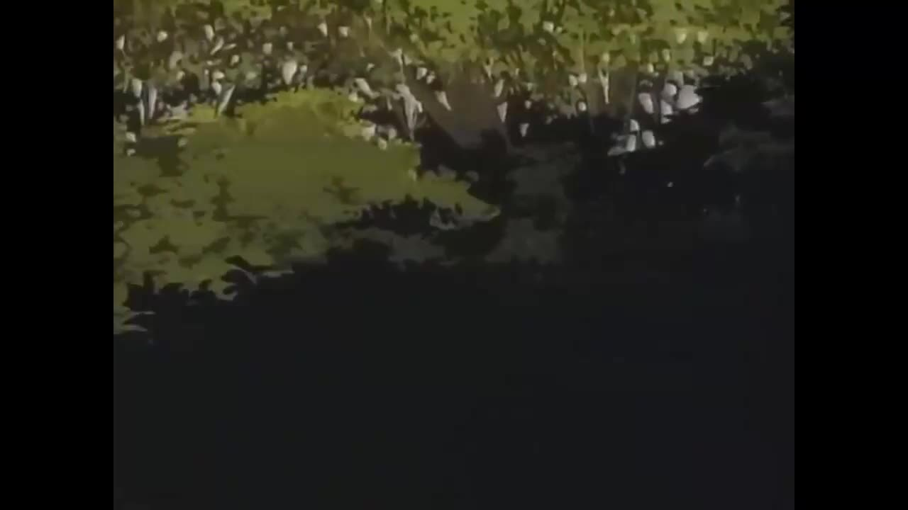 Внезапно принцесса кадр 2