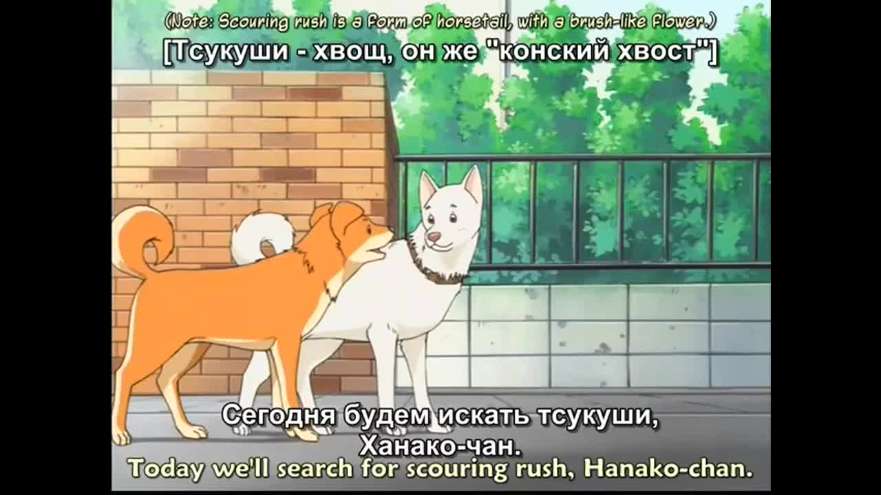 Вперёд! 2 кадр 2
