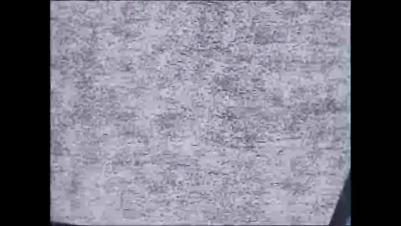 Звёздные коты кадр 2